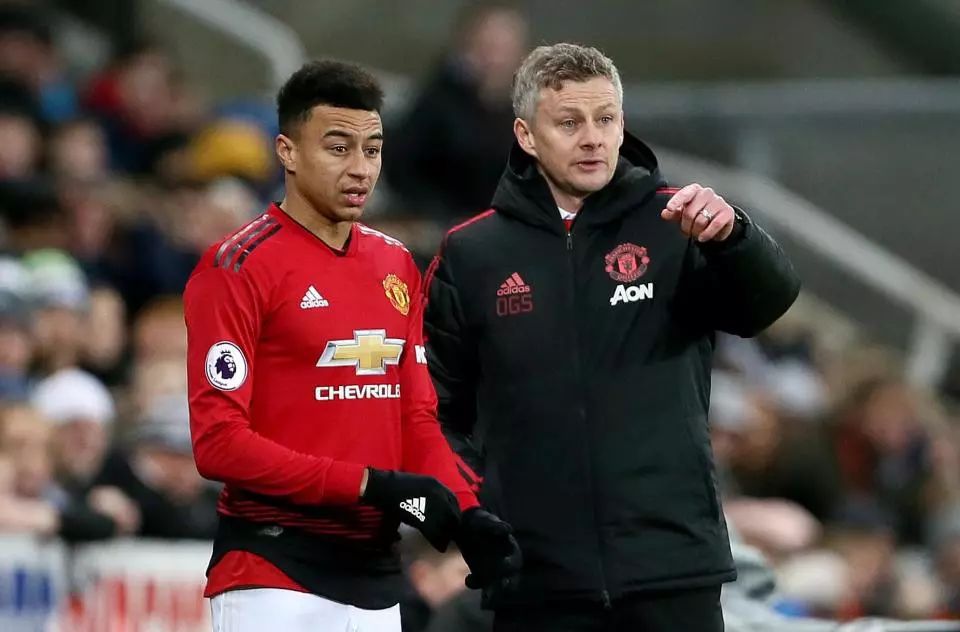 高亭宇展示 高亭宇展示